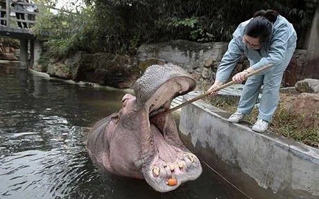 AgathaChocolats's tweet image. In six words or fewer, write a story about this photo.
#sixwordstory #WritingCommunity