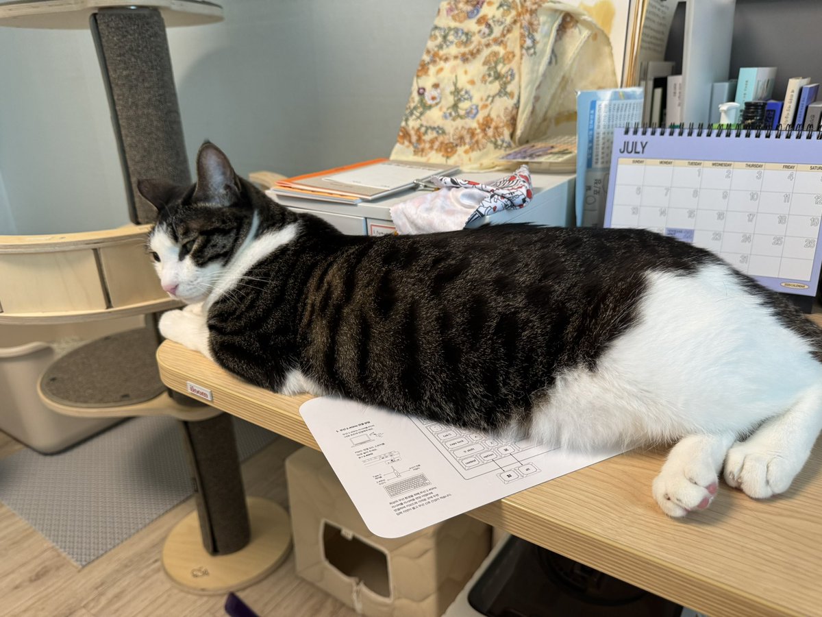 언니가 놀아주지 않자 눈치주는 빈대떡