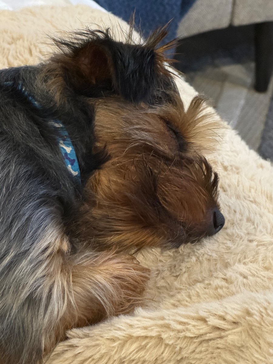 Jorge Hernandez tweet media