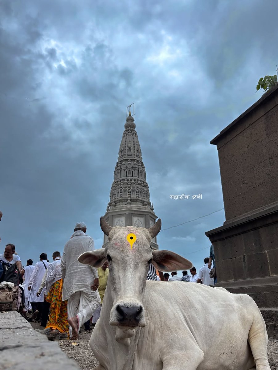 SanatanTalks's tweet photo. बा विट्ठला https://t.co/YM3gU5CoOo