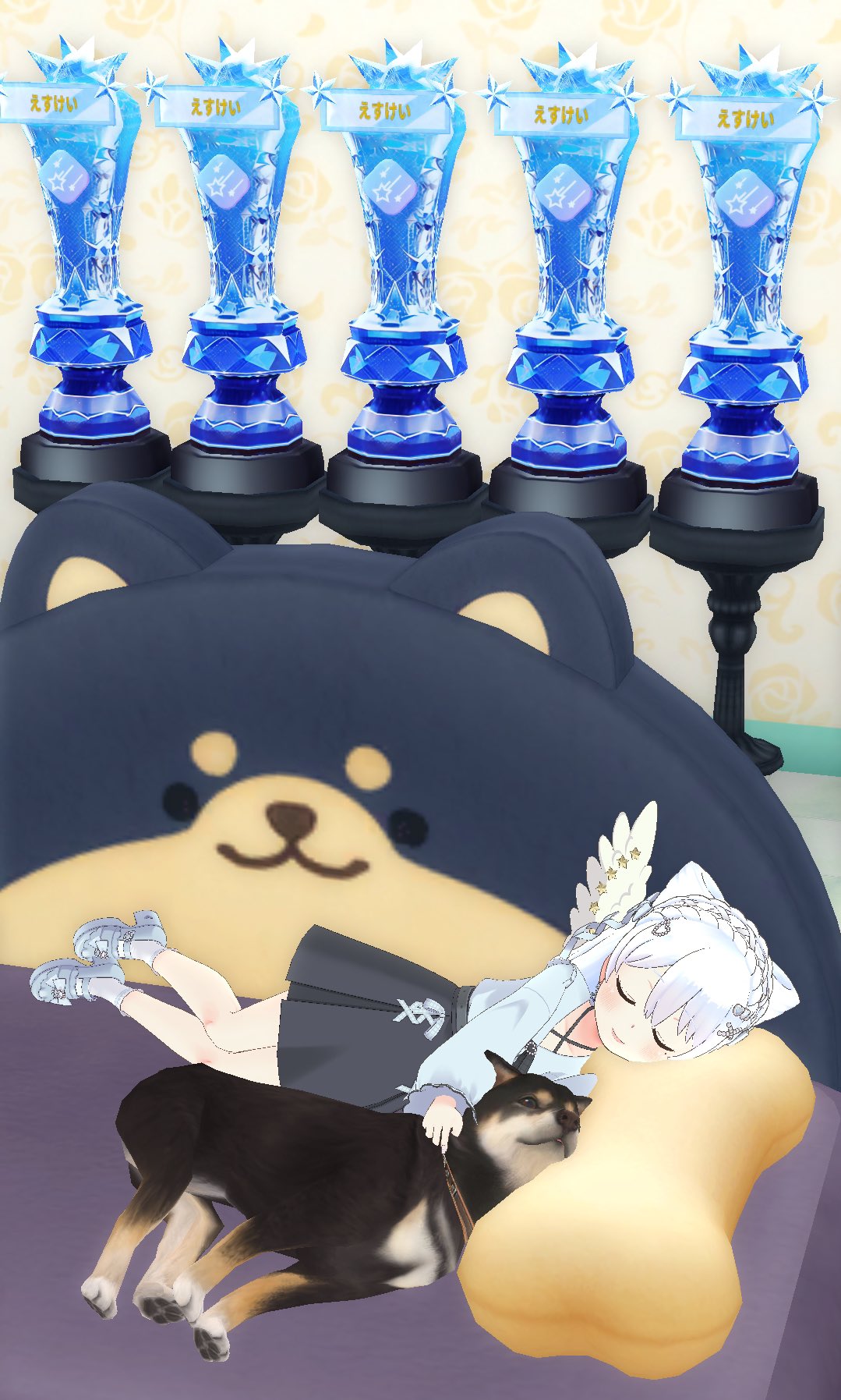 sk18111091 - Search / X