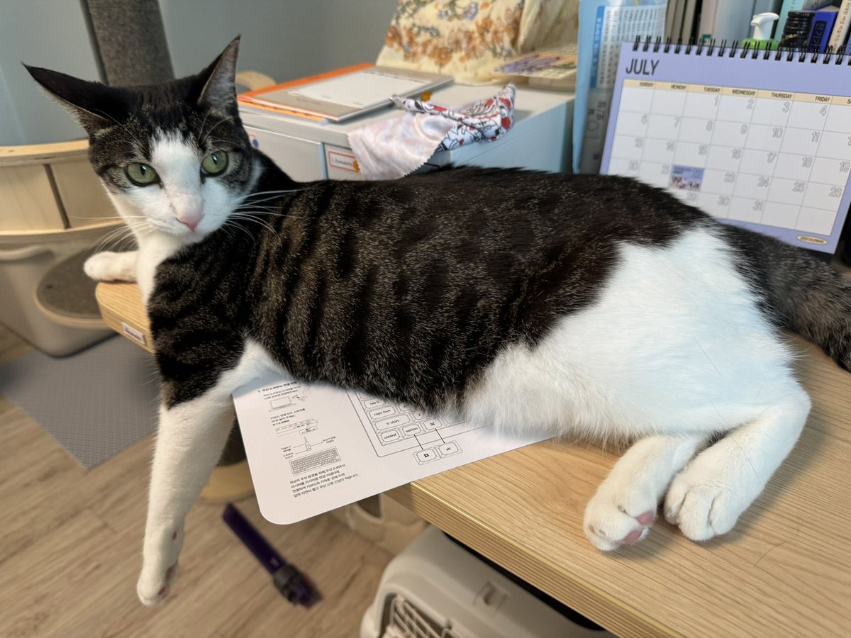 언니가 만져서 뿍침