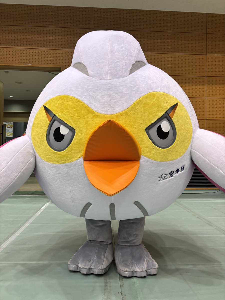 公式】ヴィクトリーナ姫路 Victorina Himeji on X