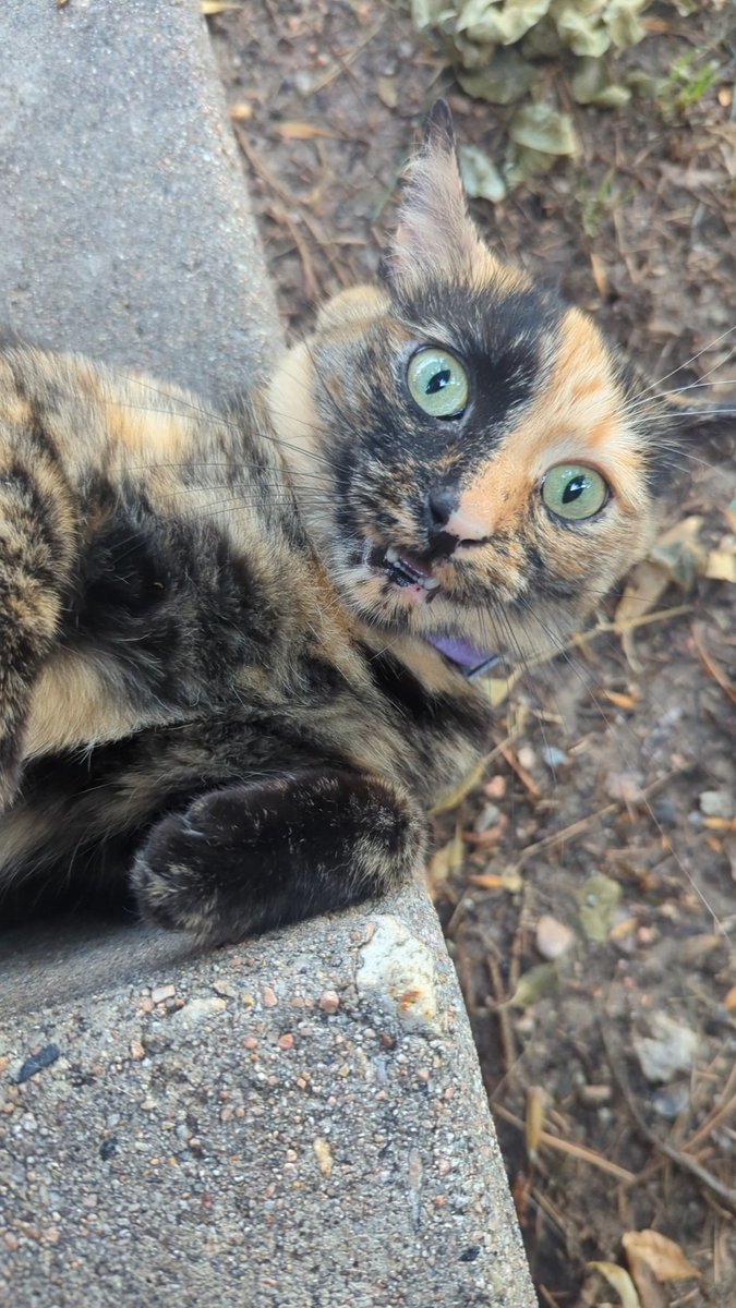 mine oranch reeley showing todaye !