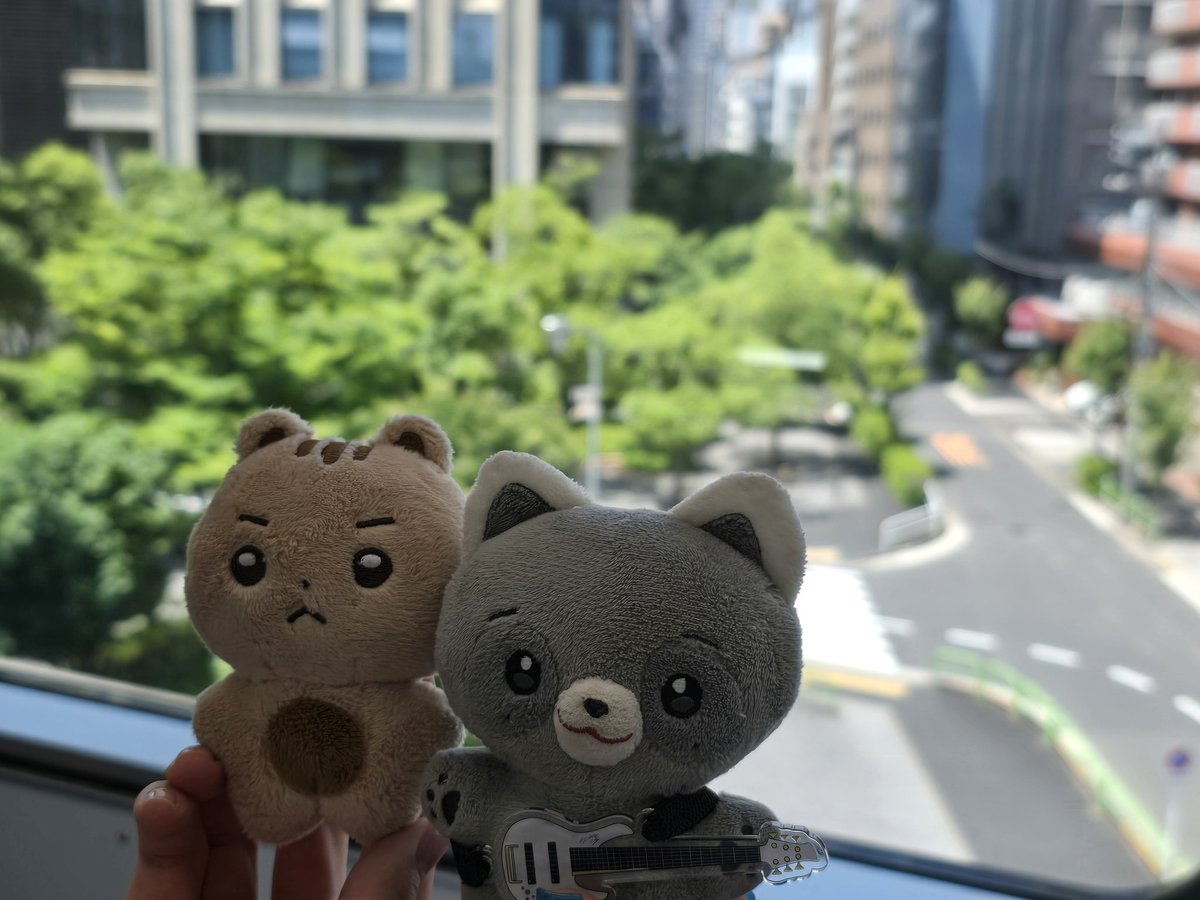 가쟈가쟈가쟈 ~ !!!!!