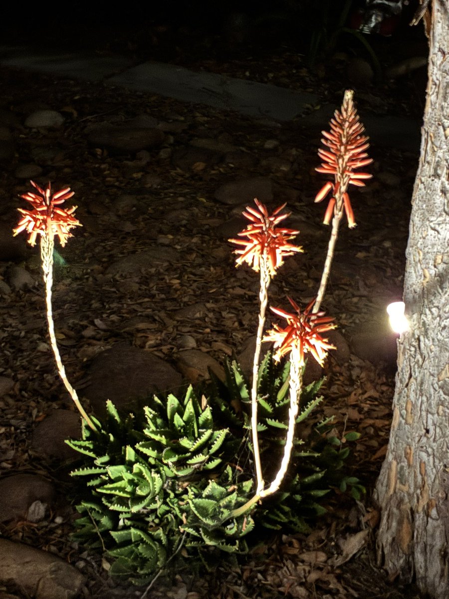 Bryan Cox (Spike) (@spikecox) on Twitter photo 