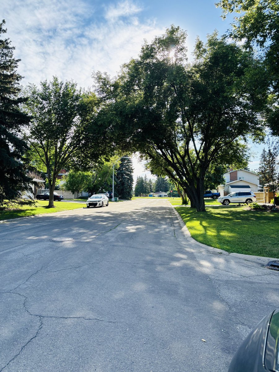 AFPAElliott's tweet photo. A beautiful day connecting with the residents of Brookside. One thing we all agreed on — change is needed to build a #BetterEdmonton 
For more information, donate or volunteer please go to https://t.co/cvV2m4QSlT https://t.co/JriV9hc0LE