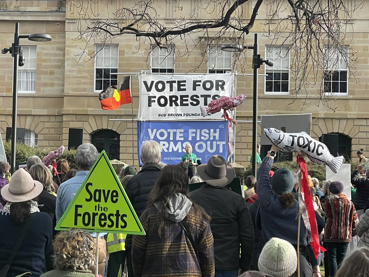 Melissa Sweet (@melissasweetdr) on Twitter photo There can be no environmental justice without Treaty, says <a href="/rosaliewoodruff/">Rosalie Woodruff 🌿💚</a>
#TasVotes There can be no environmental justice without Treaty, says <a href="/rosaliewoodruff/">Rosalie Woodruff 🌿💚</a>
#TasVotes