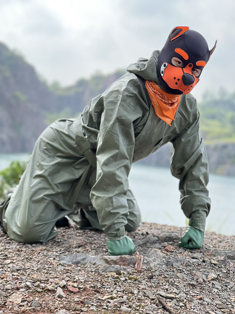 怎么没人转发，私信呢？😃