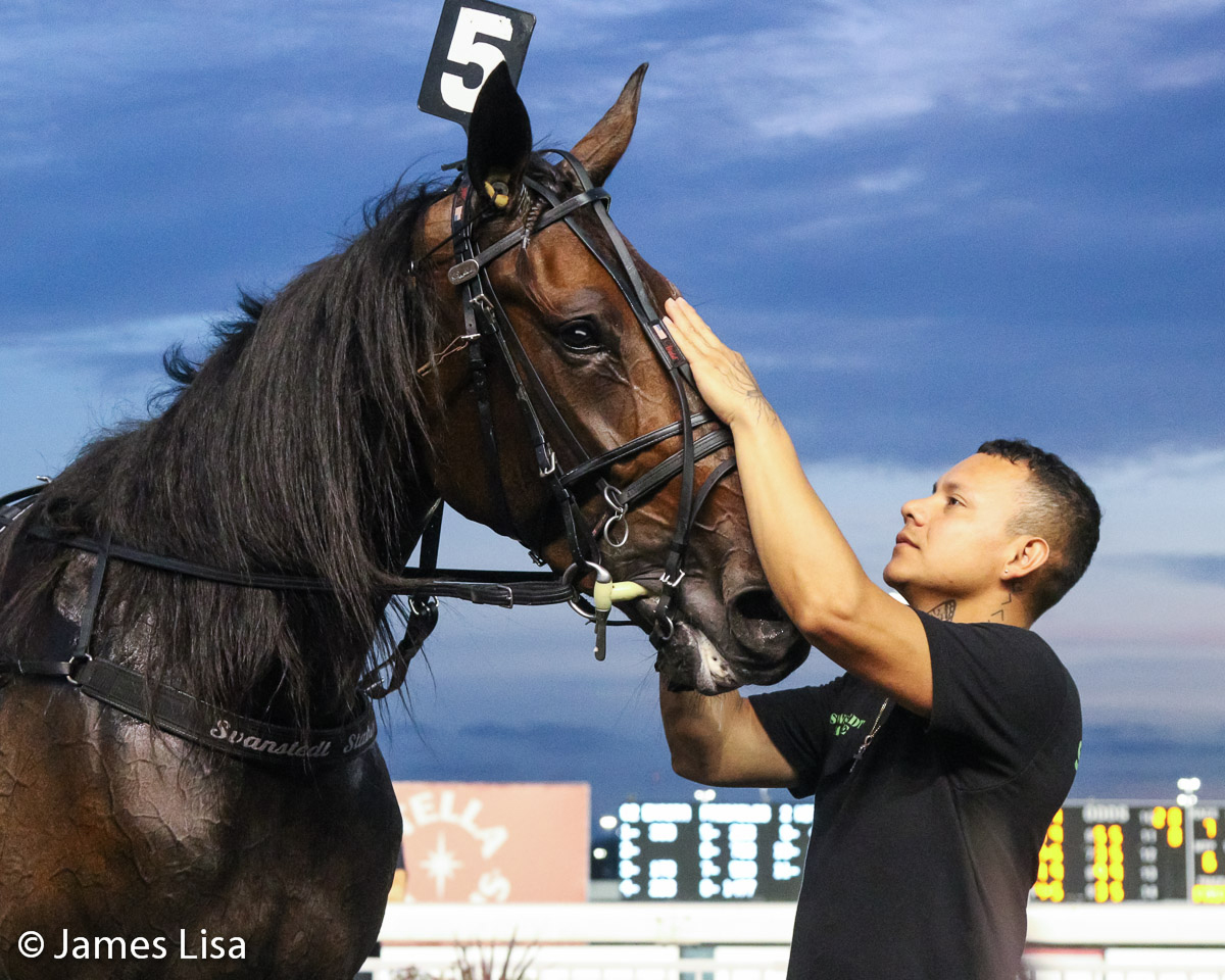 Lisa Photo tweet media