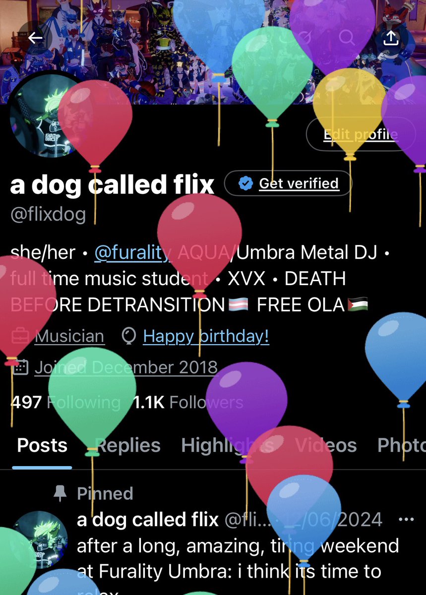 greeen dog tweet media