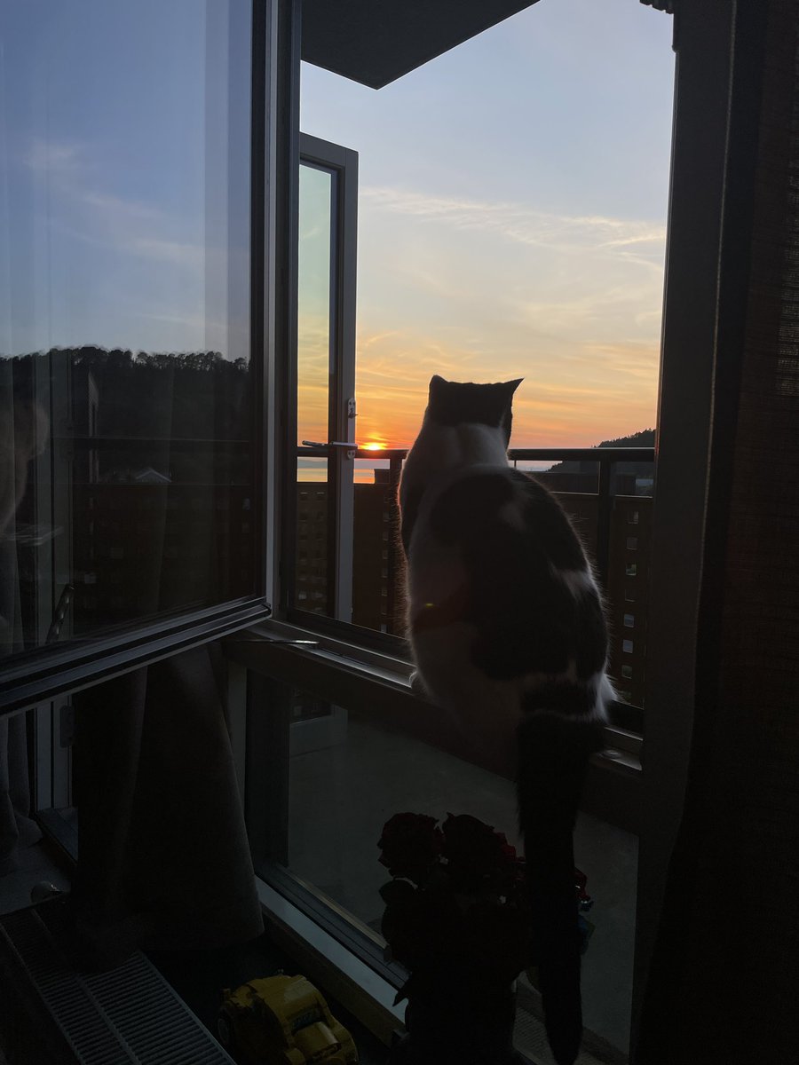 Ida Charlotte👋🏼 tweet media