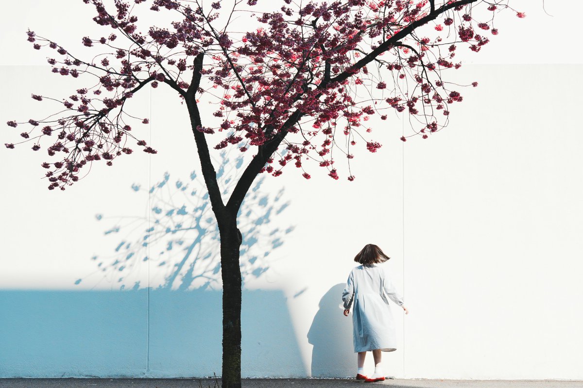 hidegii1's tweet image. #gallery_no8
@setonatu72