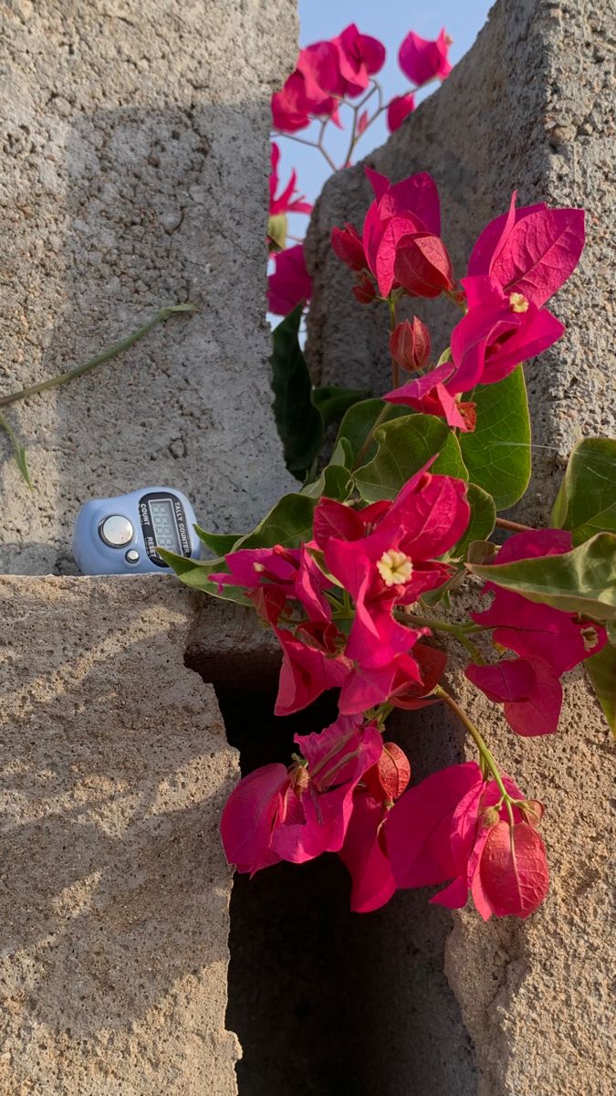 في كل صباح جديد، يتجدد الحمد، ويعلو التسبيح:
اللهم اجعل يومي كله تسبيحًا، وشكراً، ورضاً بك يا كريم.

#صباح_الخير
#صباح_الخير_والسعاده