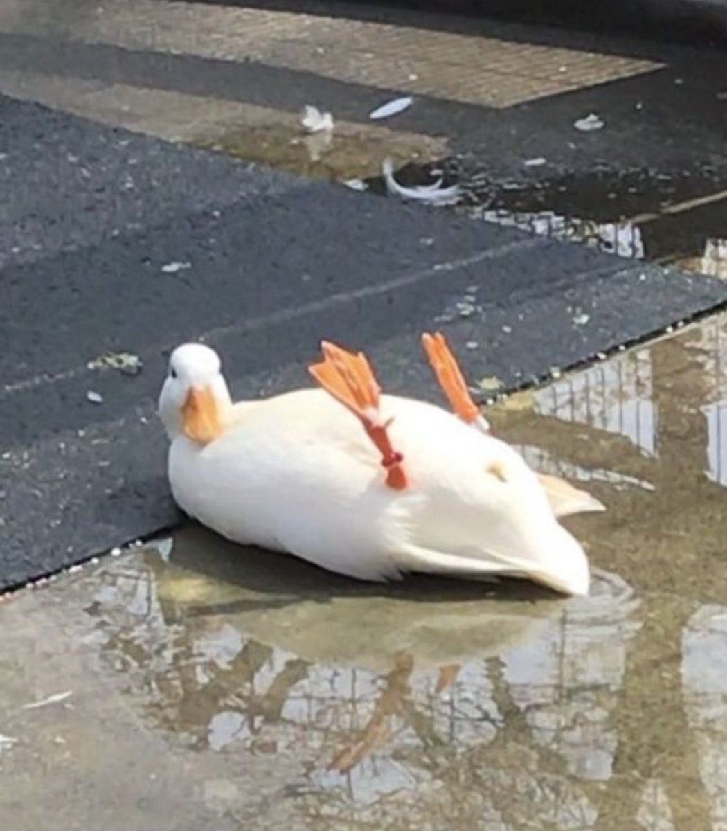 oh! hello there! 👋