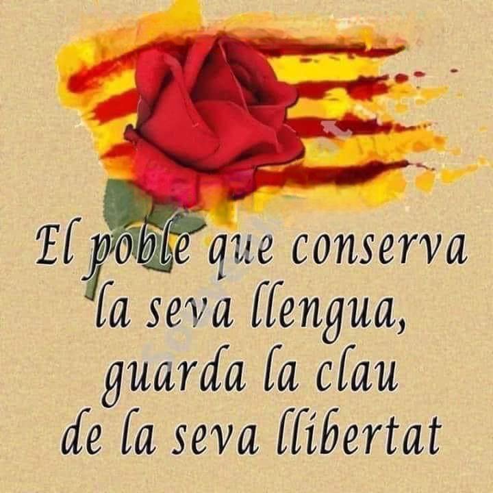 Meridianes! Donem la jornada per finalitzada. És important créixer i organitzar els barris, viles i ciutats. 

Gràcies per ser-hi! ✊

📌 La Generalitat no ha d'acusar manifestants. 🔥 

1O, ni oblit ni perdó! ✊ 
#NoEnsCallareu
#MoriElMalGovern 
#FreeXelj
#PutaEspaña 🔥