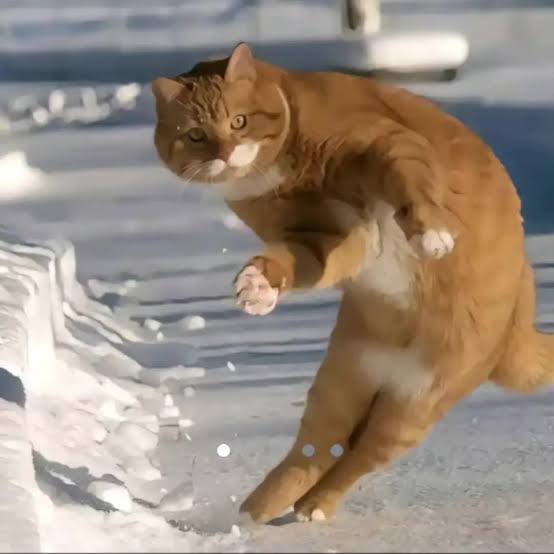 _thaysacordeiro's tweet photo. Luiz Araújo em qualquer oportunidade https://t.co/sN8r7pm9N6