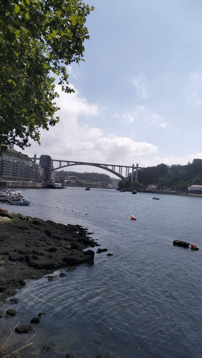 Correr aqui 🏃
O Porto é diferenciado 💙