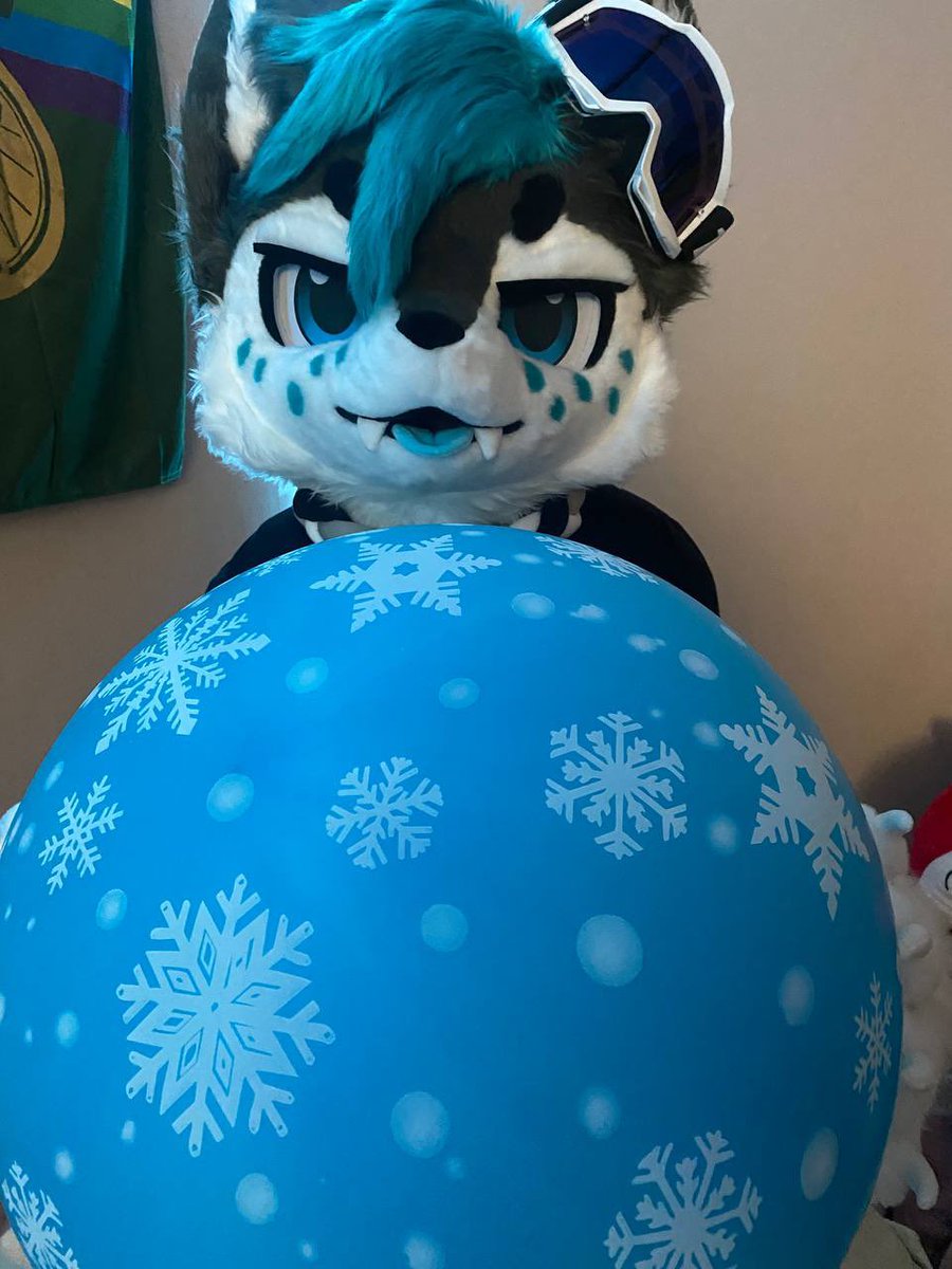 Got a big balloon~ Wanna play? 🩵🐱🎈
#SqueakySaturday