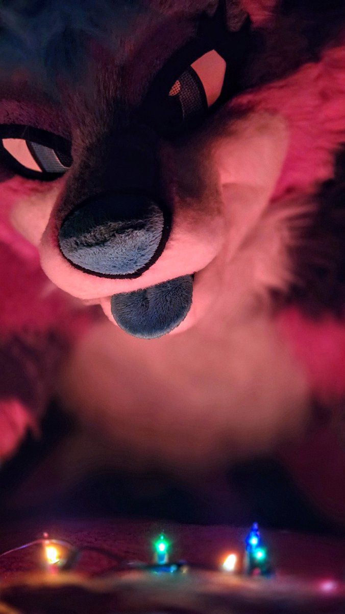 ✨️•woof•✨️