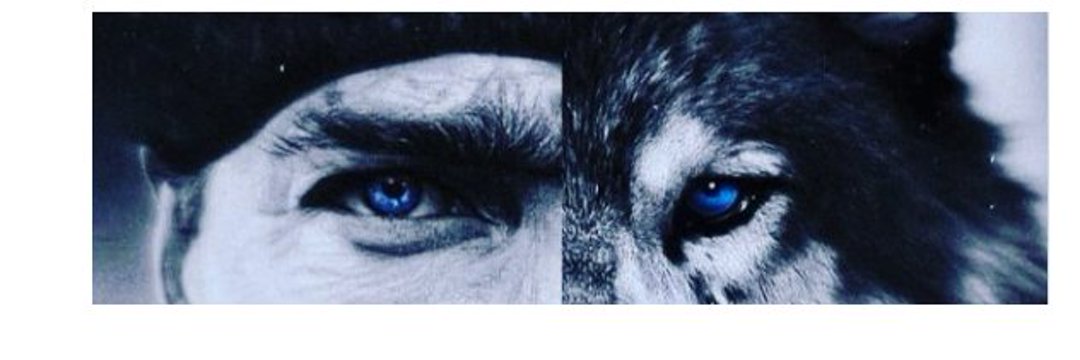 Sevgili Devlet;

Ortadoğu'daki Arap ve Mezopotamya'daki Kürt üzerindeki oyun planını güçlendirmek adına yeni bir kimlik inşaasına girişmiş durumdasın. 

Ulus Devlet'ten Medeniyet Devlet'ine geçiş planı çerçevesinde bu yeni Kimliğin merkezindeki Türk'ü sulandırdığın noktada iki