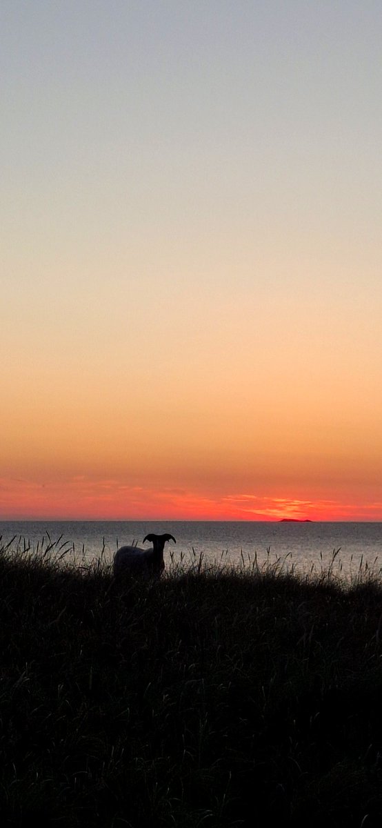 Eilidh (@eilidhcarr) on Twitter photo 