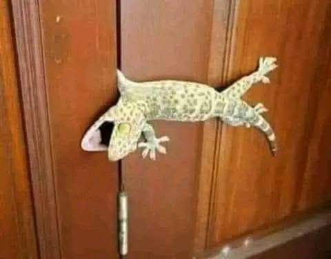 افتح الباب صباعي جوه الباب 
ااااااااافتح البااااااااااااب صباااااااعي🤣🤣🤣