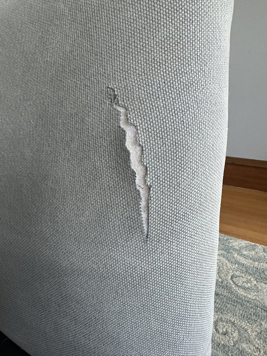 frayedcollar's tweet image. Movers sliced open our $3000 west elm couch.. there’s no coming back from this right?