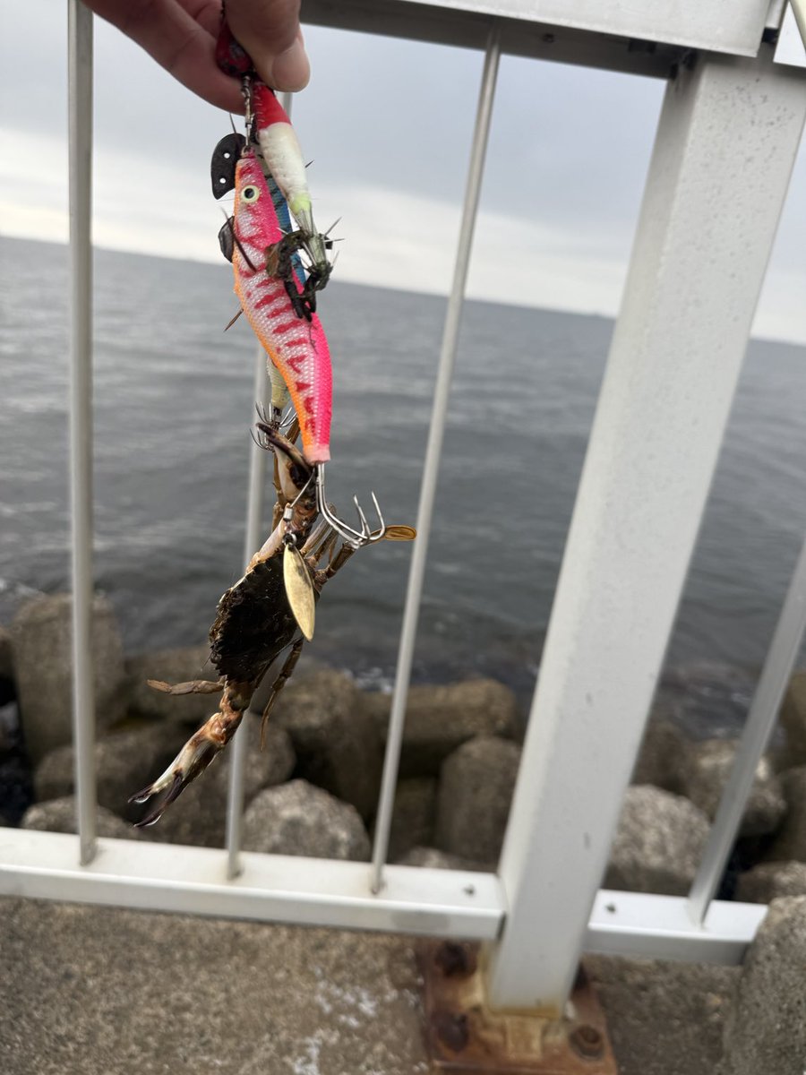 今日の朝練
高須海浜公園にてタコ狙い！
早く到着するものの空きポイントが少ない😅時間まで粘るけどどうなる事か🥲