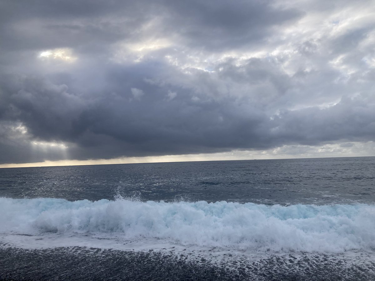 おはようございます、七里御浜！

雨に降られ、王子ヶ浜撤退後、
七里御浜へ移動。

楽しい季節になってました！笑

ツバスとマルソウダが速攻で
お出迎え！

#七里御浜
#ジャックアイマキマキ