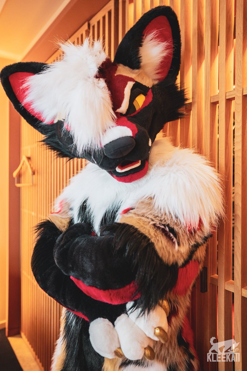 AnejoYote's tweet image. Think you’re tough enough for me~
Definitely not.
📸: @kleekaiihusky