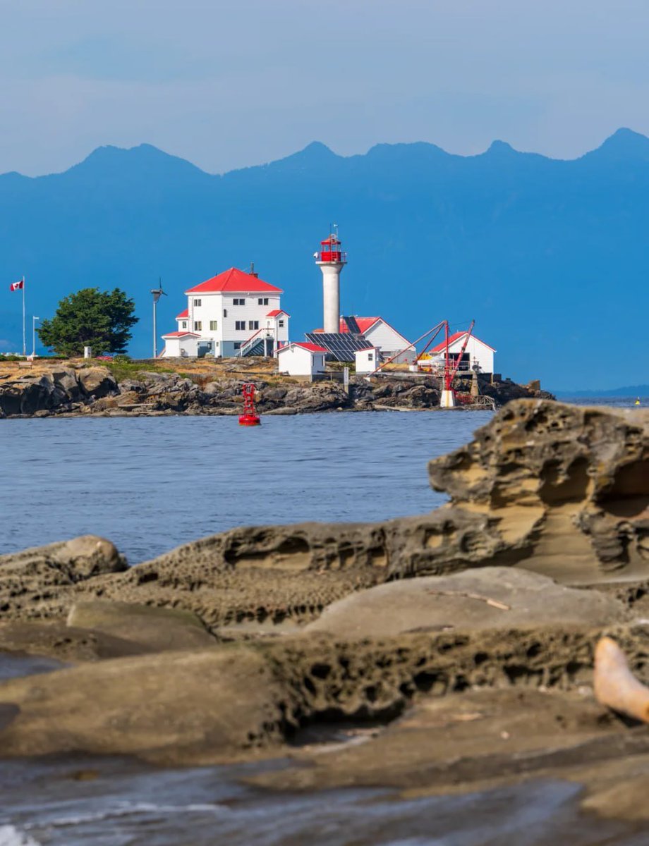 Lara😘 tweet media