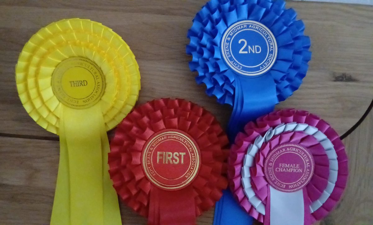 Ballindean Ryelands & Menmuir Oxford Downs tweet media