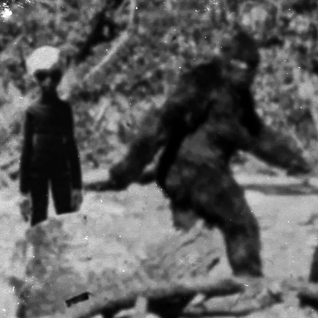 Bigfoots Pad Paranormal Investigations Team (@bfpteam) on Twitter photo 