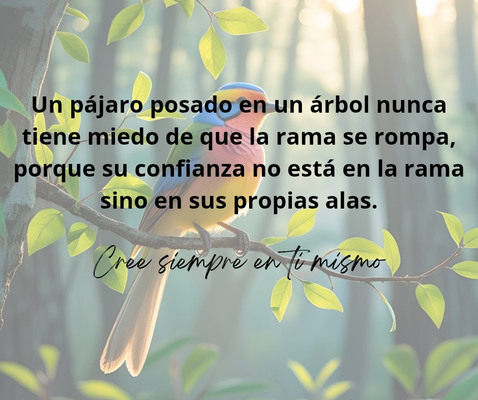 DrGlezMurillo's tweet photo. ¿Alguna vez has visto un pájaro posado tranquilamente en una rama, sin preocuparse de si se va a romper? Su confianza no está en la rama, sino en sus propias alas.

Así deberíamos vivir: creyendo siempre en nosotros mismos... https://t.co/FxfLOSSik8