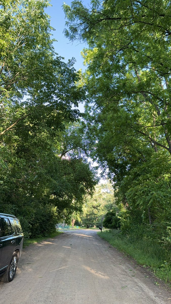 Did u guys do the hidden quest? 

#openseatouchgrass