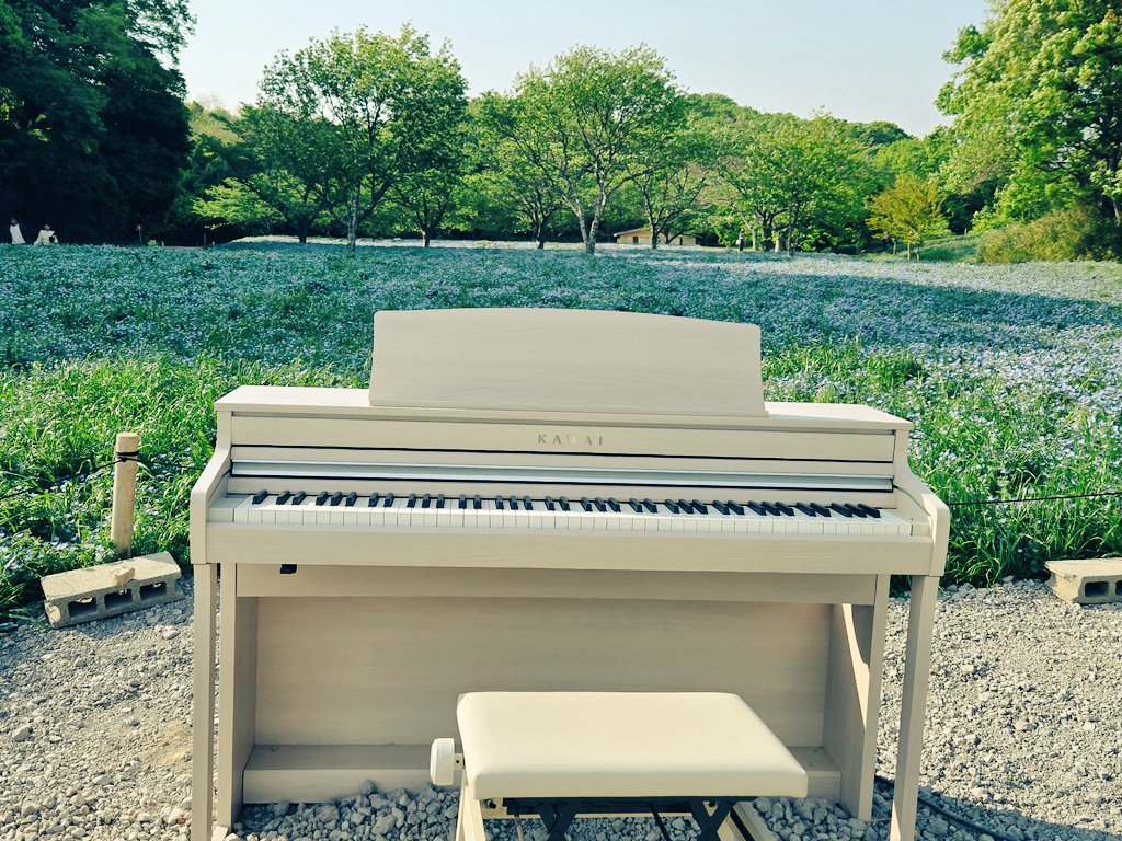 REALITY823's tweet photo. これはネモフィラを見に行ったときの！ https://t.co/hLNPGyfaKM