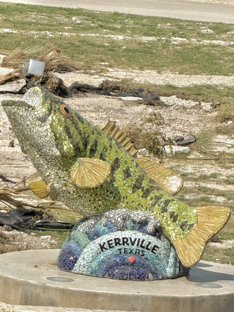Our hearts are heavy and all broken here in the Hill Country. 

But just like Lupe the Bass stands strong, here is a reminder that even in the toughest currents, our community’s strength remains. 🐟  We are stronger together!
#hillcountrystrong #communitypowered #kerrunited