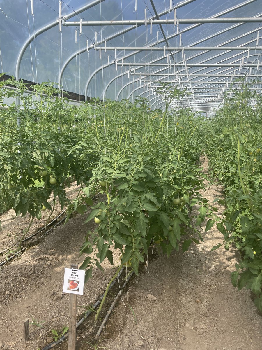 PermaFarmIN's tweet photo. Visited @granorfarms today. What an inspiration!  So well maintained and just incredibly well designed. https://t.co/pJ2GPmG0ra