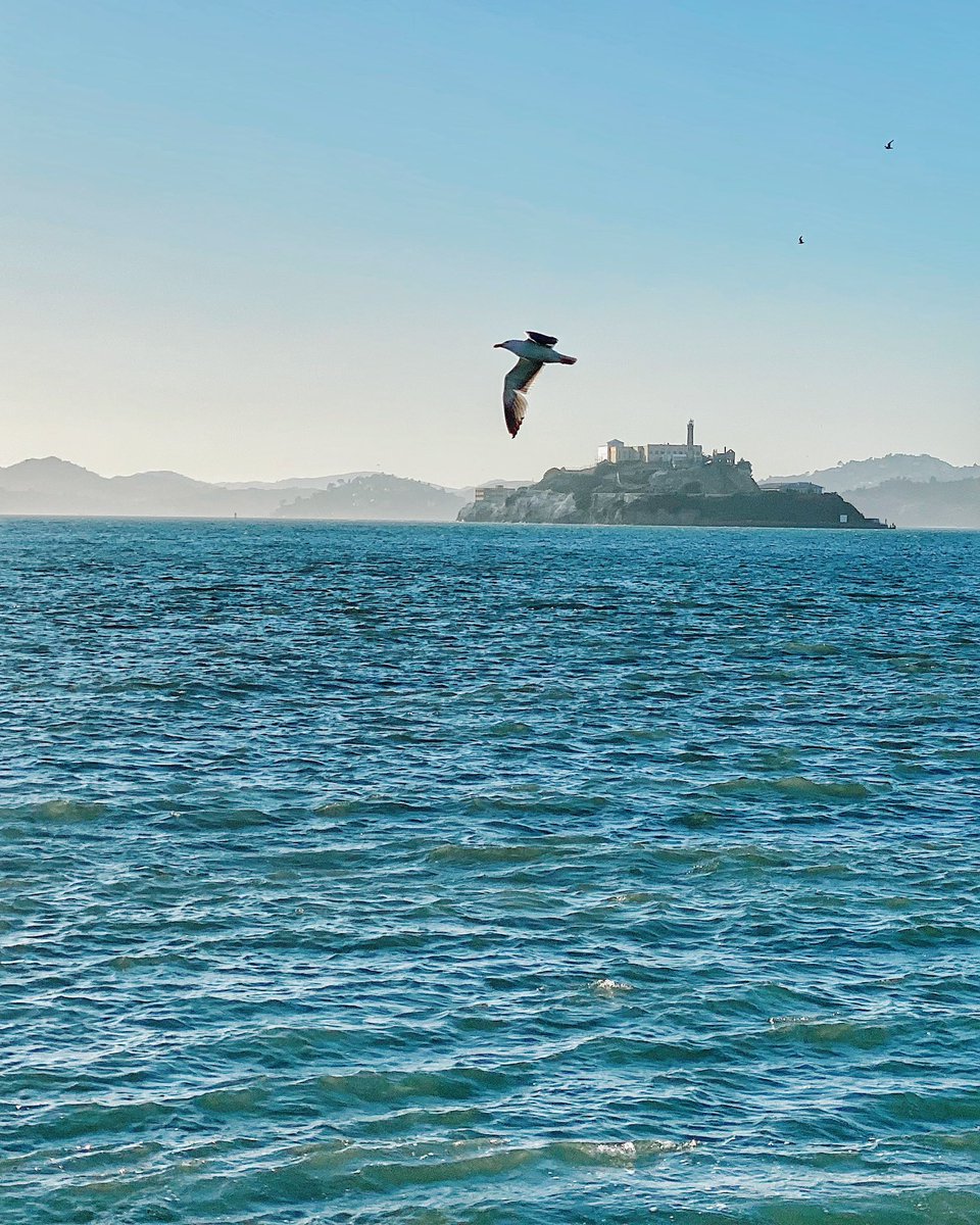 One of these days I need to make it over and take a tour of Alcatraz.