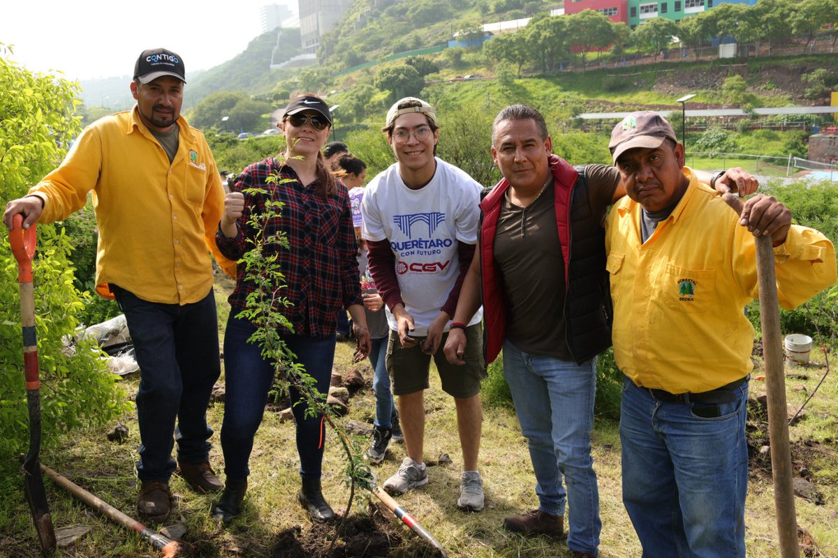 Este sábado plantamos más que árboles: sembramos vida para el futuro de Querétaro.
En la Reserva Ecológica del Tlacuache, unimos esfuerzos <a href="/gobqro/">Gobierno del Estado de Querétaro</a>, <a href="/qromunicipio/">Municipio de Querétaro</a> y ciudadanos comprometidos para plantar 700 árboles nativos, restaurando uno de los pulmones verdes de nuestra capital