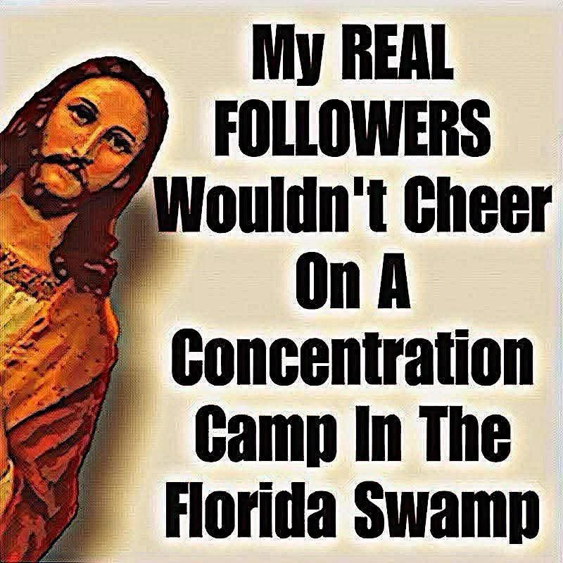 DapperCub's tweet image. 