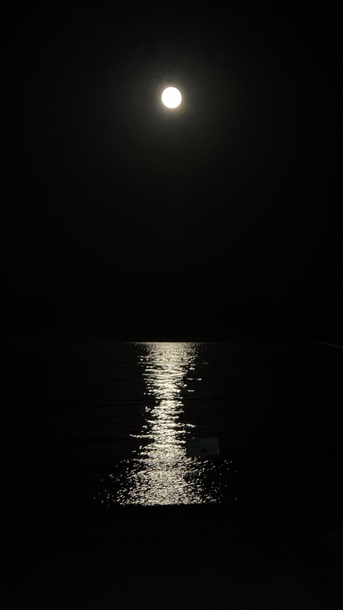 Сегодня был настолько насыщенный день, что я залила в инсту 15 сторис, из которых 3 – видео. Но вы их не увидите, потому что сидите в твиттере. Вот вам хотя бы полнолуние из бара на пляже <a href="/ololoAkJol/">Надо жить на Иссык-Куле!</a>