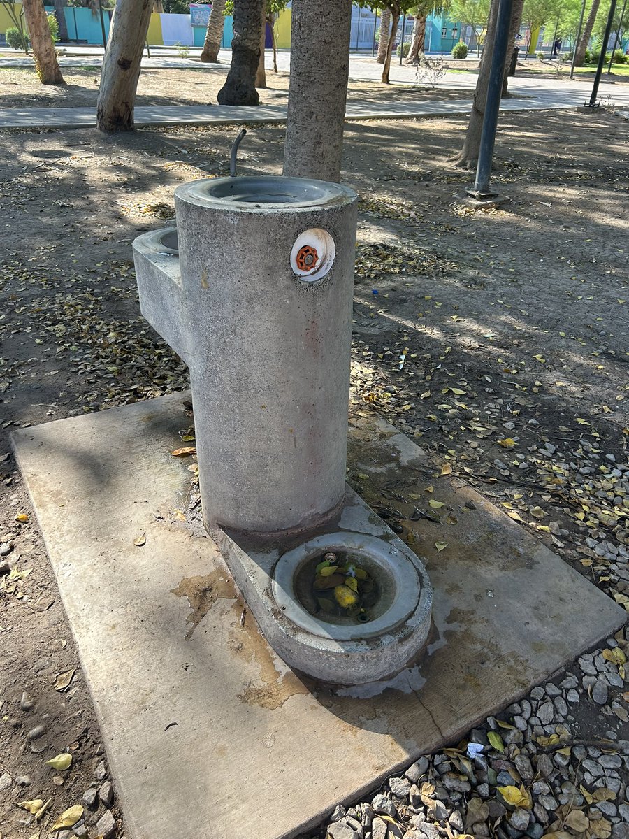 Yo creo que ni el <a href="/tonoastiazaran/">Antonio Astiazarán</a> ni su perro tomarían agua de aquí… TODOS los bebederos del reciente remodelado Parque Madero están en pésimas condiciones