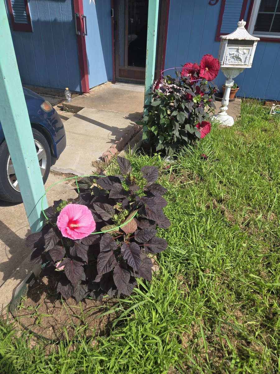 Thought I added these yesterday...
oops