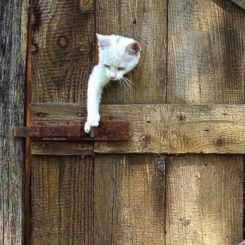 لما تحظري حد ويدخلك من حساب تاني ويقولك والنبي فيكي الحظر
🤣🤣🤣🤣🤣