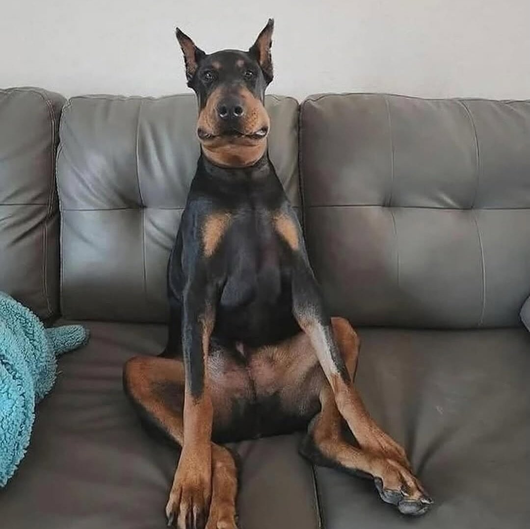jalymrabey's tweet photo. sensação de vazio inexplicável https://t.co/gpblPeMu6j