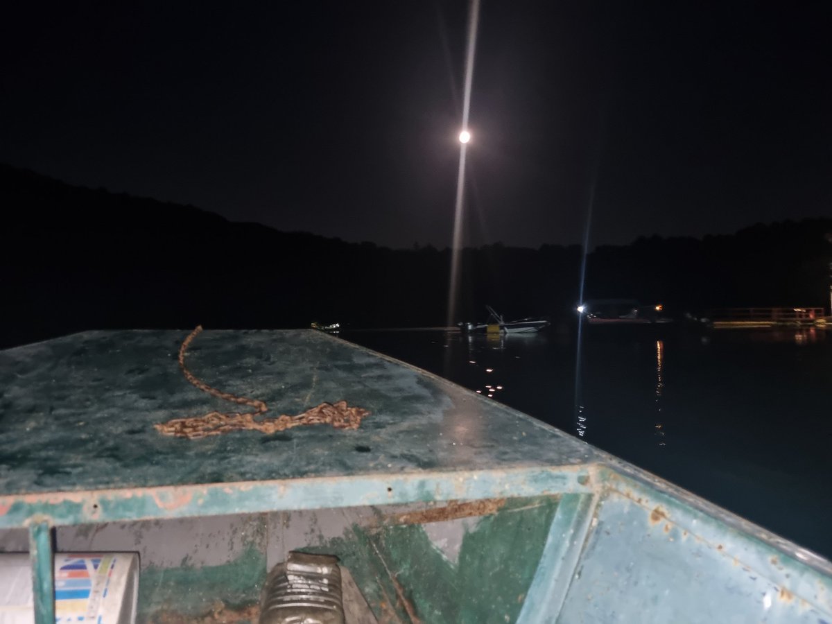 regiokephas's tweet image. Night ride