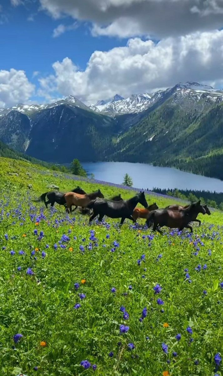 Өглөөний мэнд ээ . Амралтын өдрөө ая тухтай амар тайван сайхан өнгөрүүлээрэй