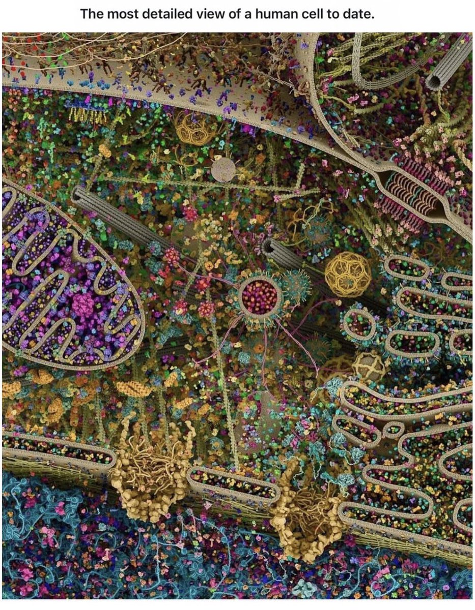 𝕋𝕠𝕟𝕪𝕊𝕥𝕒𝕣𝕜 ⌘ tweet media